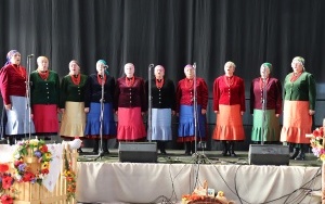 IV Powiatowy Przegląd Zespołów Folklorystycznych (15)