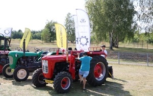 XXIV Dożynki Powiatowe (14)