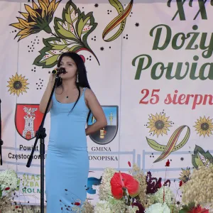 Dożynki Powiatowe 2024 (19)